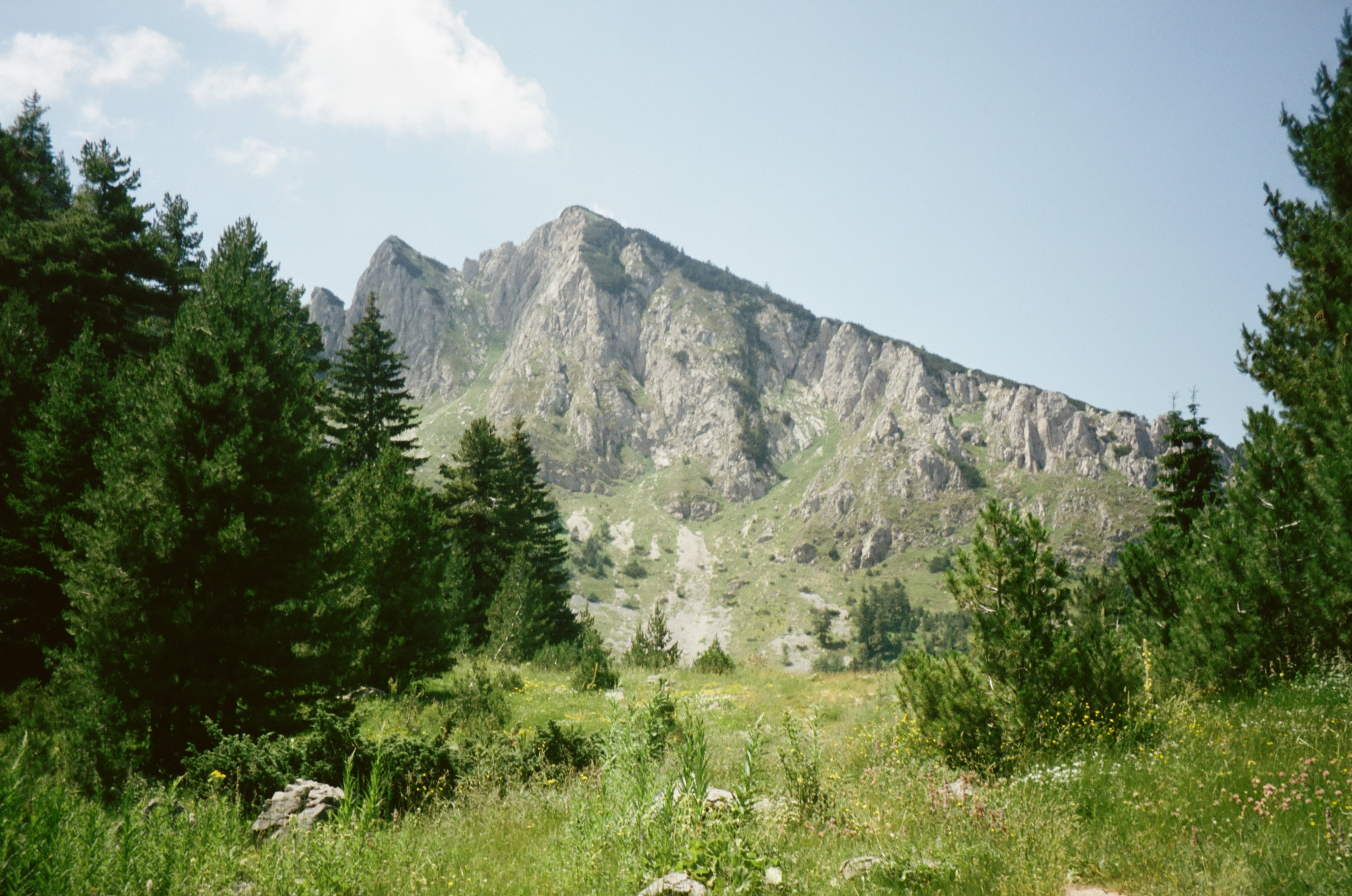A green valley beneath a rocky peak